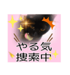 五月病の猫たち（個別スタンプ：17）