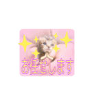 五月病の猫たち（個別スタンプ：24）