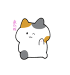 ミケ猫さんの日常スタンプ（個別スタンプ：8）