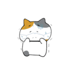 ミケ猫さんの日常スタンプ（個別スタンプ：9）