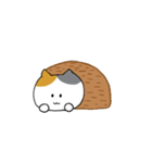 ミケ猫さんの日常スタンプ（個別スタンプ：11）
