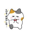 ミケ猫さんの日常スタンプ（個別スタンプ：17）