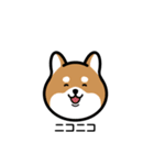 柴犬となかまたち(改)（個別スタンプ：1）