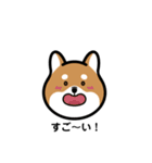 柴犬となかまたち(改)（個別スタンプ：2）
