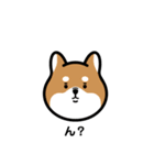 柴犬となかまたち(改)（個別スタンプ：3）