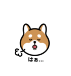 柴犬となかまたち(改)（個別スタンプ：4）