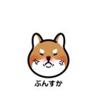 柴犬となかまたち(改)（個別スタンプ：5）