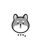 柴犬となかまたち(改)（個別スタンプ：6）