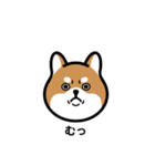 柴犬となかまたち(改)（個別スタンプ：7）