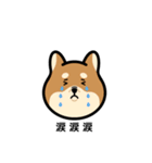 柴犬となかまたち(改)（個別スタンプ：8）
