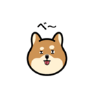 柴犬となかまたち(改)（個別スタンプ：9）