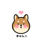 柴犬となかまたち(改)（個別スタンプ：10）
