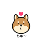 柴犬となかまたち(改)（個別スタンプ：11）