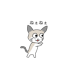 カフェラテねこの日常。（個別スタンプ：17）