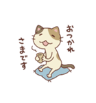 三毛猫ミケやん（個別スタンプ：1）