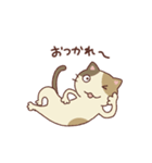 三毛猫ミケやん（個別スタンプ：3）