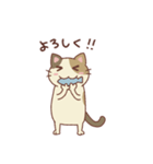 三毛猫ミケやん（個別スタンプ：5）