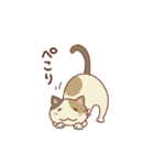 三毛猫ミケやん（個別スタンプ：10）