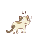 三毛猫ミケやん（個別スタンプ：12）