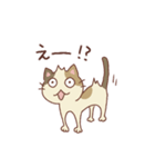 三毛猫ミケやん（個別スタンプ：13）