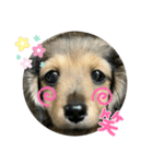 むにちゃま！（個別スタンプ：2）