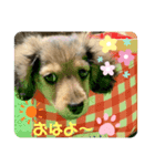 むにちゃま！（個別スタンプ：7）