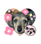 むにちゃま！（個別スタンプ：8）