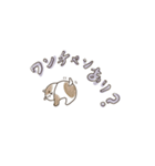 毎日使えるゆるグッズ（個別スタンプ：6）