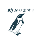 【敬語】シャチと仲間たちスタンプ（個別スタンプ：26）