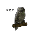 フクロウとワシ (JP)（個別スタンプ：10）