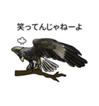 フクロウとワシ (JP)（個別スタンプ：14）