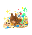 チョコちゃんスタンプ♡*(リアクション編)（個別スタンプ：19）
