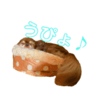 チョコちゃんスタンプ♡*(リアクション編)（個別スタンプ：31）