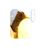 チョコちゃんスタンプ♡*(リアクション編)（個別スタンプ：36）
