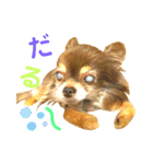 チョコちゃんスタンプ♡*(リアクション編)（個別スタンプ：38）