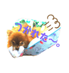チョコちゃんスタンプ♡*(リアクション編)（個別スタンプ：39）
