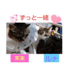 愛猫3匹☆ハムスター2匹☆（個別スタンプ：11）