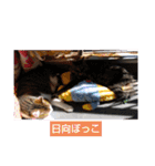 愛猫3匹☆ハムスター2匹☆（個別スタンプ：15）