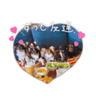 チワワのアマロ達【日常会話編4】（個別スタンプ：21）