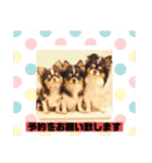 チワワのアマロ達【日常会話編4】（個別スタンプ：38）