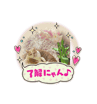 マロコロニャンニャン4（個別スタンプ：4）