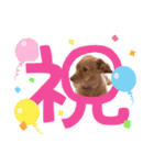 どでかファミリー（個別スタンプ：1）