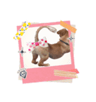 どでかファミリー（個別スタンプ：4）