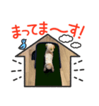 ク〜ラテ（個別スタンプ：2）
