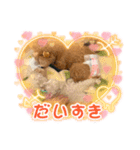 ク〜ラテ（個別スタンプ：3）