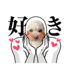 ク〜ラテ（個別スタンプ：4）