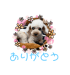 ク〜ラテ（個別スタンプ：5）