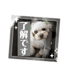 ク〜ラテ（個別スタンプ：6）
