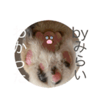 みらちゃい（個別スタンプ：14）