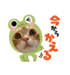 みらちゃい（個別スタンプ：16）
